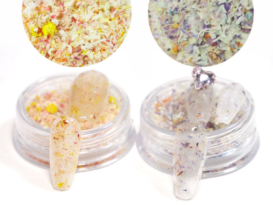 1 case Dried Pressed Real Flower Petals/ Drying Mixed Cute Retro Floral supply for Crafts Nail art UV resin supply