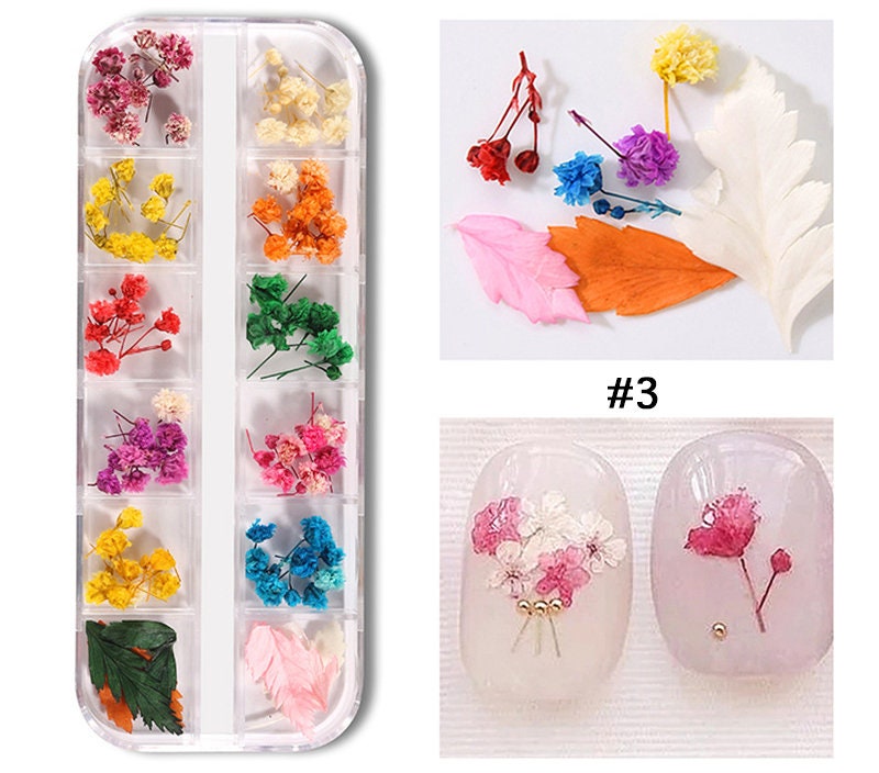 DAISY Pressed Flower Resin Crafts For DIY Art Jewelry Making 12pcs Dried  Daisy Flowers